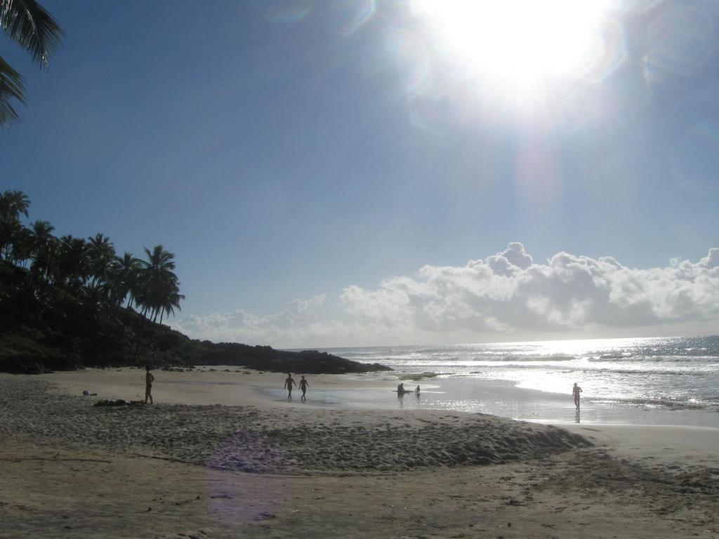 Linda Surf House Apartamentos Itacare Bagian luar foto