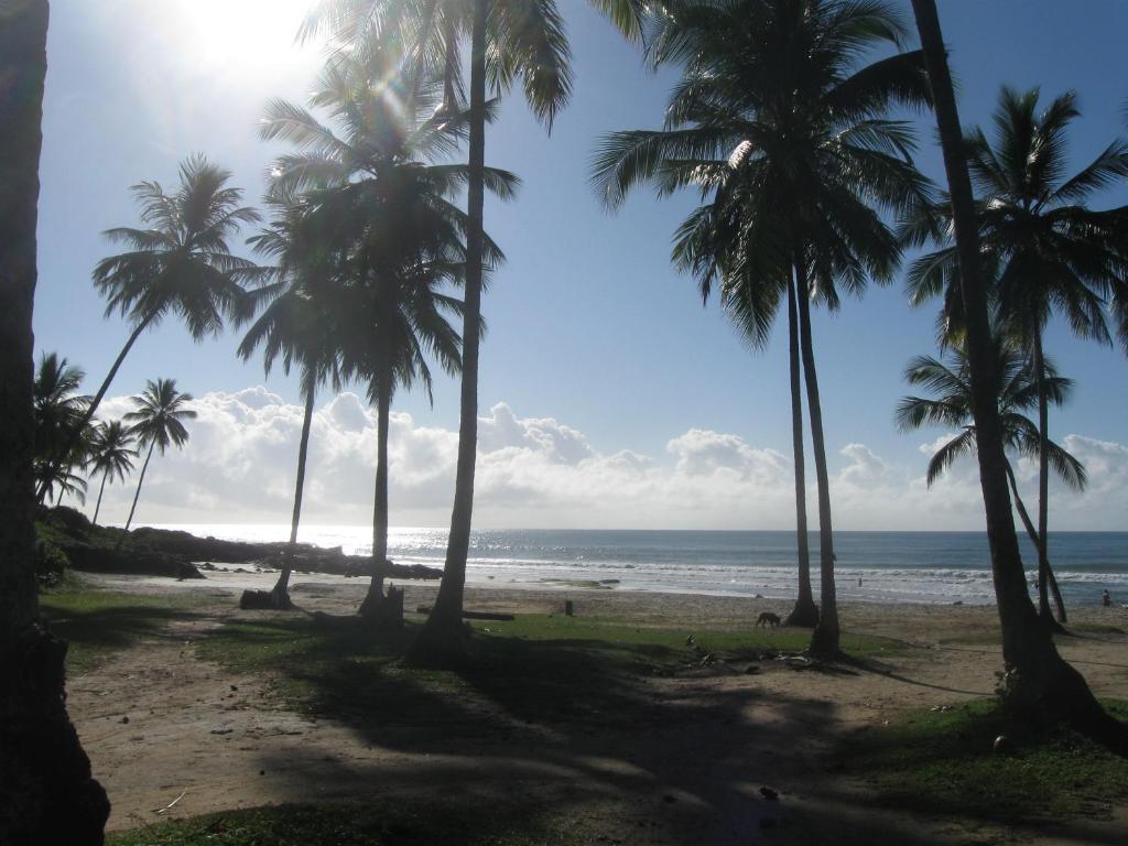 Linda Surf House Apartamentos Itacare Bagian luar foto