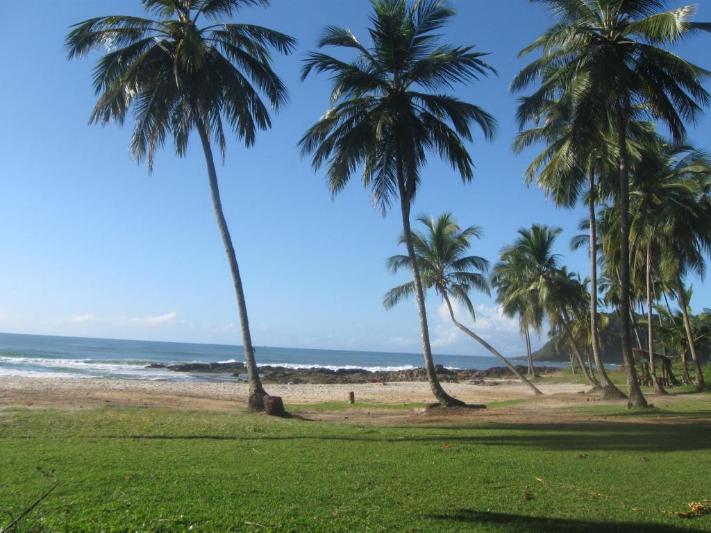 Linda Surf House Apartamentos Itacare Bagian luar foto