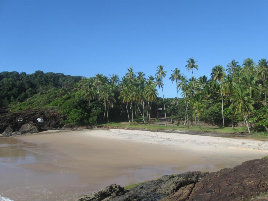 Linda Surf House Apartamentos Itacare Bagian luar foto